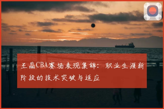 王晶CBA赛场表现集锦:职业生涯新阶段的技术突破与适应