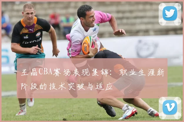 王晶CBA赛场表现集锦:职业生涯新阶段的技术突破与适应