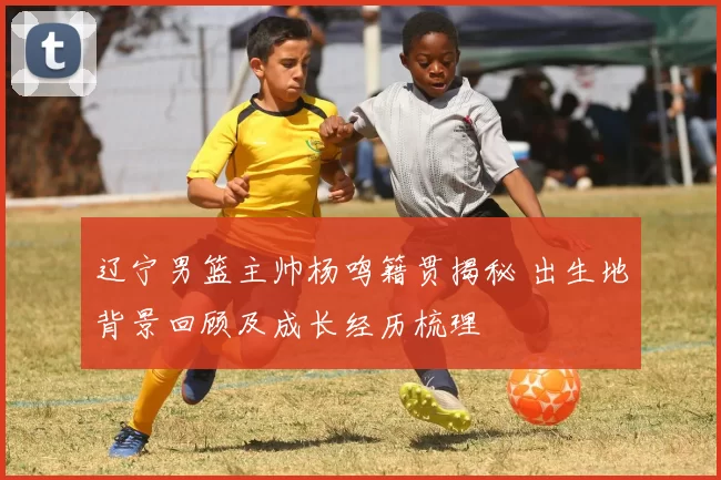 辽宁男篮主帅杨鸣籍贯揭秘 出生地背景回顾及成长经历梳理