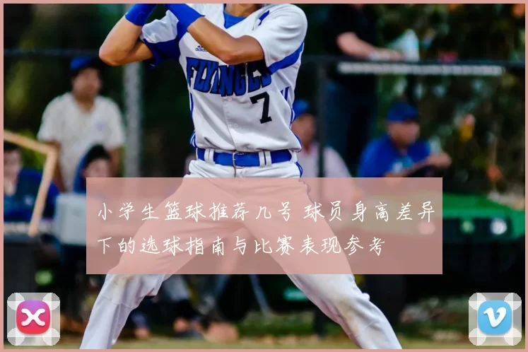 小学生篮球推荐几号 球员身高差异下的选球指南与比赛表现参考