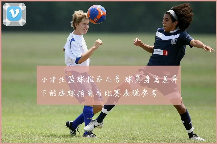 小学生篮球推荐几号 球员身高差异下的选球指南与比赛表现参考