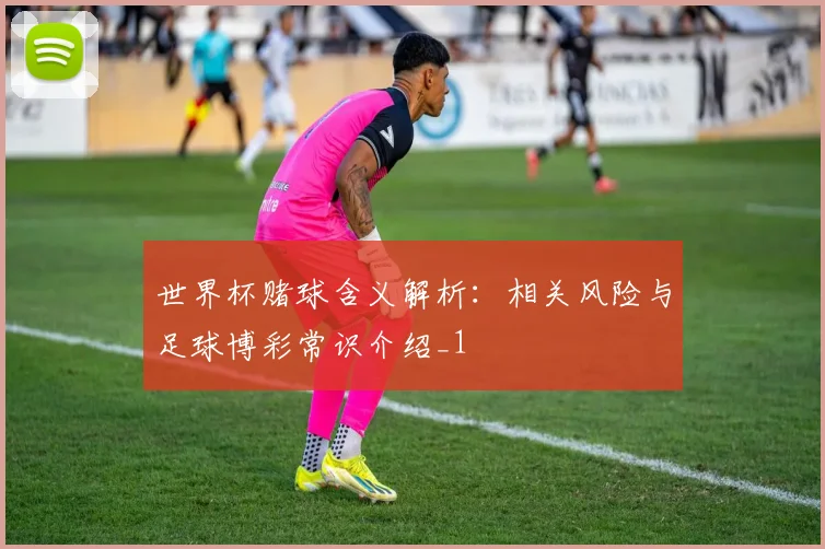 世界杯赌球含义解析:相关风险与足球博彩常识介绍_1