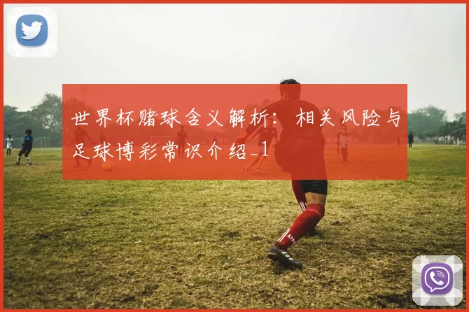 世界杯赌球含义解析：相关风险与足球博彩常识介绍_1