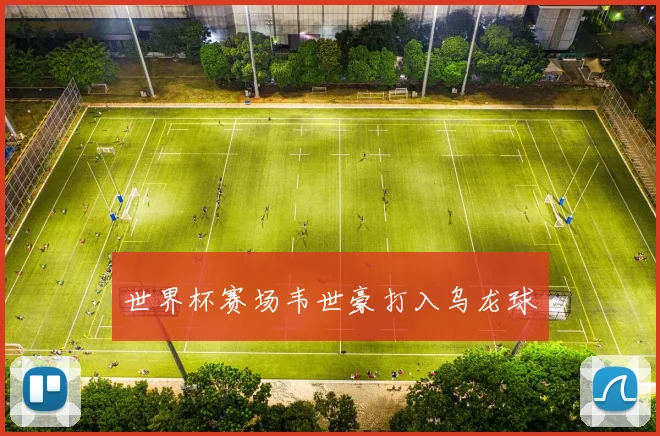 世界杯赛场韦世豪打入乌龙球