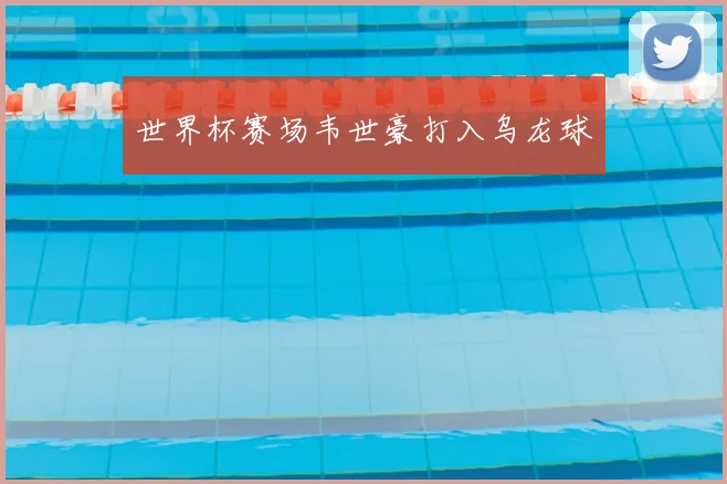 世界杯赛场韦世豪打入乌龙球